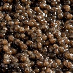 kaspia-beluga-royal-caviar