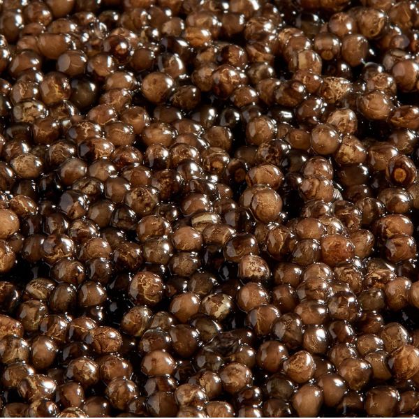 Kaspia Oscietra Selection Caviar 3 Kaspia Oscietra Selection Caviar - Ảnh 3