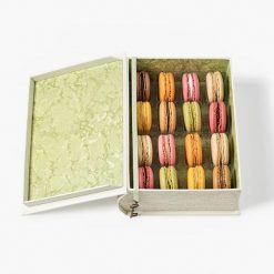 macaron-laduree-x-marin-montagut-ban-gioi-han
