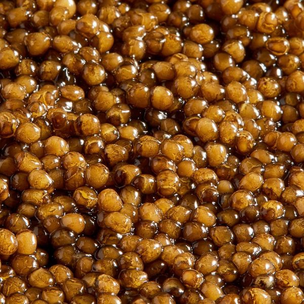 Kaspia Oscietra Reserve Caviar 3 kaspia-oscietra-reserve-caviar