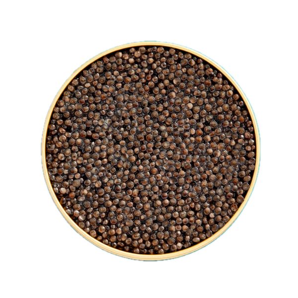 Kaspia Esturgeon Blanc Royal Caviar 1 kaspia-esturgeon-blanc-royal-caviar