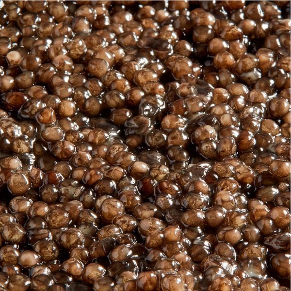 Kaspia Esturgeon Blanc Royal Caviar 3 kaspia-esturgeon-blanc-royal-caviar