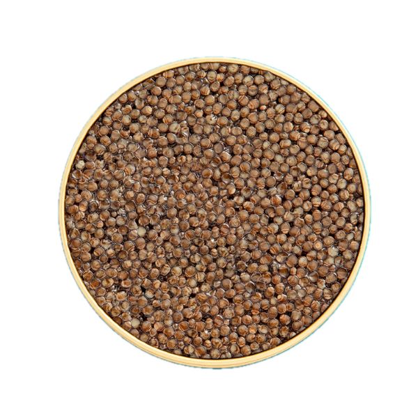 Kaspia Beluga Caviar 1 kaspia-beluga-caviar