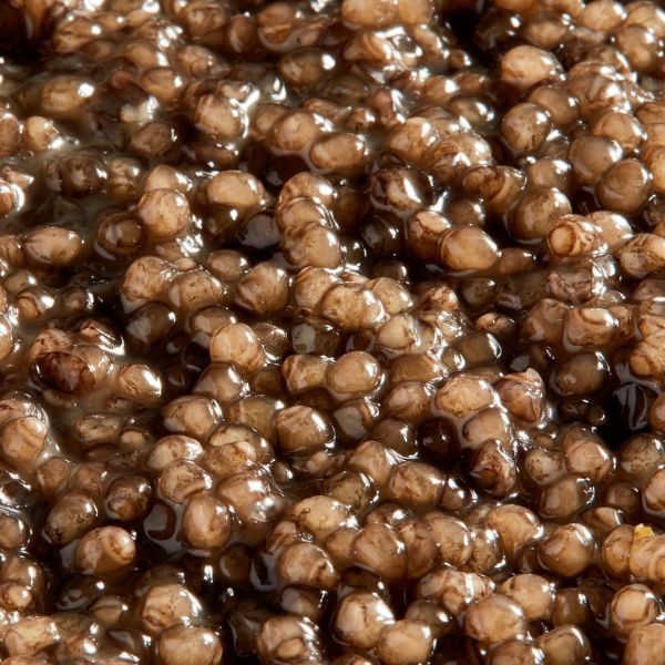 Kaspia Beluga Caviar 3 Kaspia Beluga Caviar - Ảnh 3