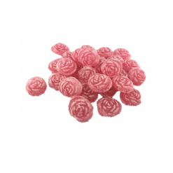 rose-givree-boîte-metal-x10