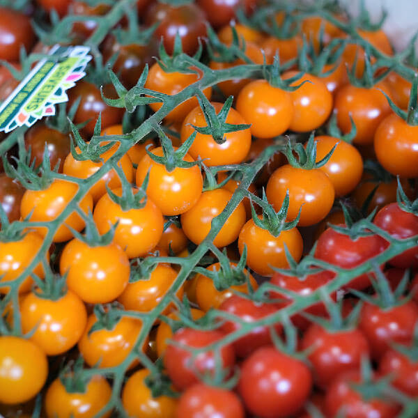 Cà chua cherry 2 ca-chua-cherry-1