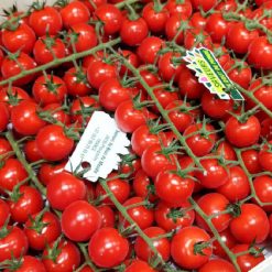 Cà chua cherry 5 ca-chua-cherry-2