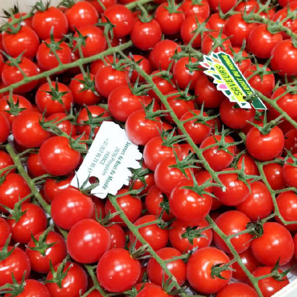 Cà chua cherry 3 ca-chua-cherry-2