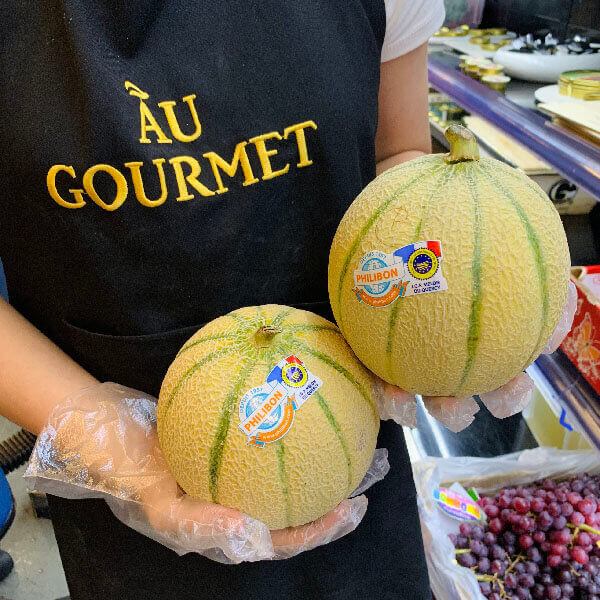 Dưa lưới Pháp 1 dua-luoi-phap