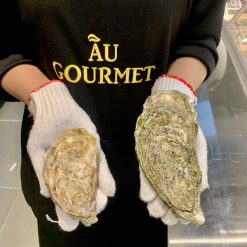 Hàu Gillardeau size 0