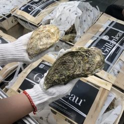 Hàu Gillardeau size 00 (double 0)