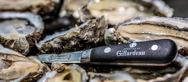 hau-gillardeau-co-gi-dac-biet-o-loai-hau-so-1-the-gioi