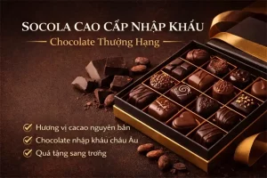 Socola Cao Cấp Nhập Khẩu – Chocolate Thượng Hạng